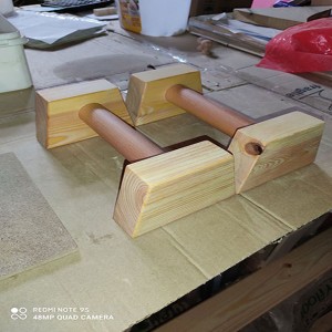 ΑΛΤΗΡΕΣ (PUSH-UPS)