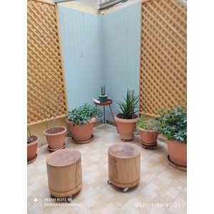 ΞΥΛΙΝΗ ΕΠΕΝΔΥΣΗ ΑΥΛΗΣ