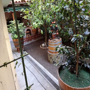 Η ΞΥΛΙΝΗ ΑΥΛΗ 