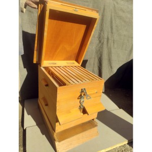 ΞΥΛΙΝΗ ΚΥΨΕΛΗ 