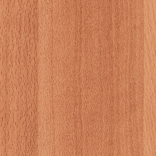 ΜΕΛΑΜΙΝΗ ΑΚΡΙΤΑΣ 311