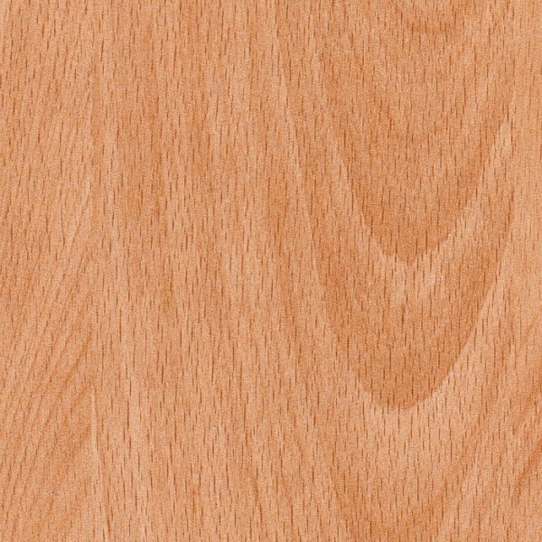 ΜΕΛΑΜΙΝΗ ΑΚΡΙΤΑΣ 312