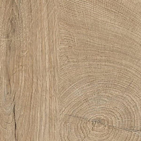 ΜΕΛΑΜΙΝΗ ΑΚΡΙΤΑΣ 331