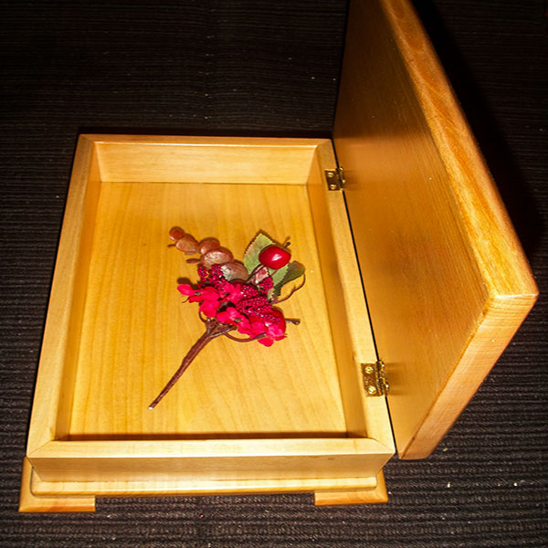 ΜΟΝΤΕΡΝΑ ΣΚΑΛΙΣΤΗ ΜΠΙΖΟΥΤΙΕΡΑ